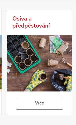 Osiva a předpěstování