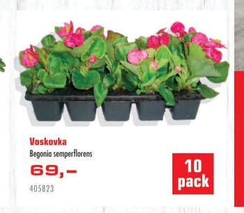 Voskovka