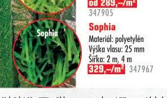 Sophia