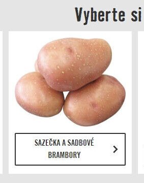 Sazečka a sadbové brambory