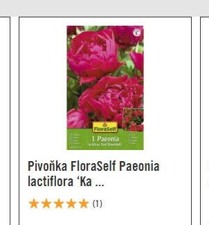 Pivoňka FloraSelf Paeonia lactiflora 'Ka...