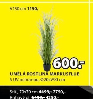 UMĚLÁ ROSTLINA MARKUSFLUE