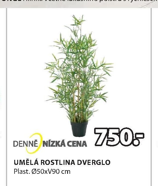 UMĚLÁ ROSTLINA DVERGLO