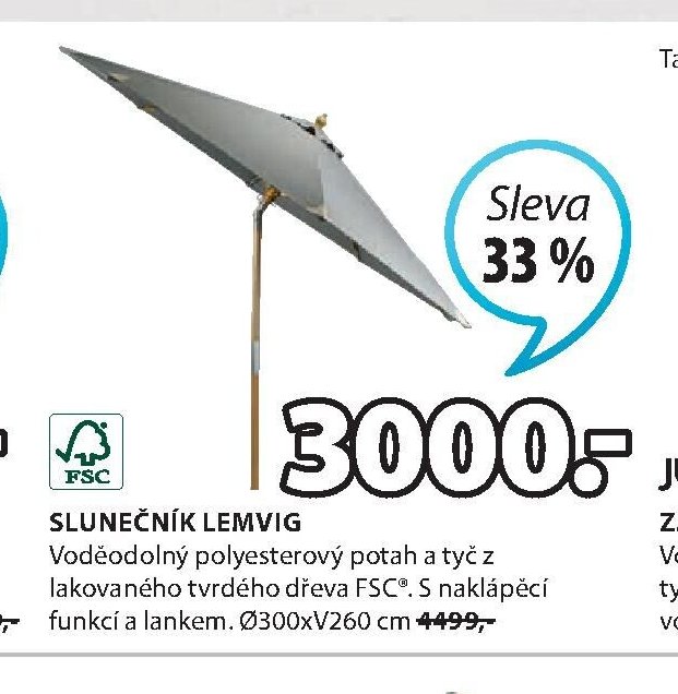 SLUNEČNÍK LEMVIG