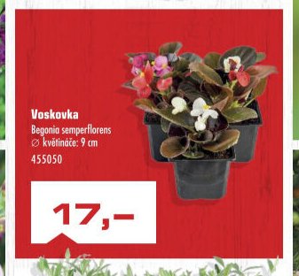 Voskovka