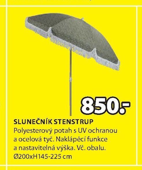 SLUNEČNÍK STENSTRUP