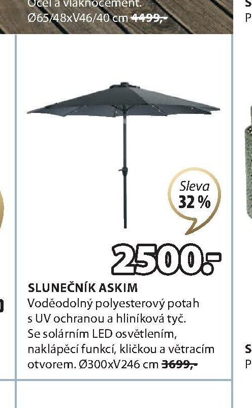 SLUNEČNÍK ASKIM
