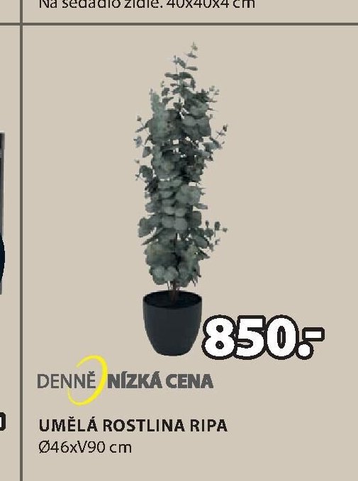 UMĚLÁ ROSTLINA RIPA