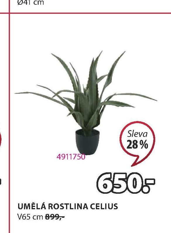 UMĚLÁ ROSTLINA CELIUS