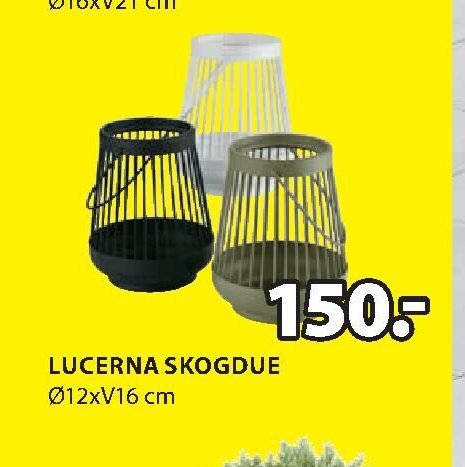 Lucerna Skogdue