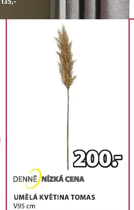 UMĚLÁ KVĚTINA TOMAS