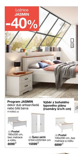 Program JASMIN