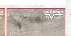 Dub Moonlight