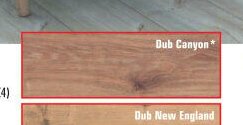 Dub Canyon*