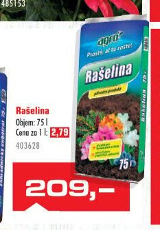 Rašelina
