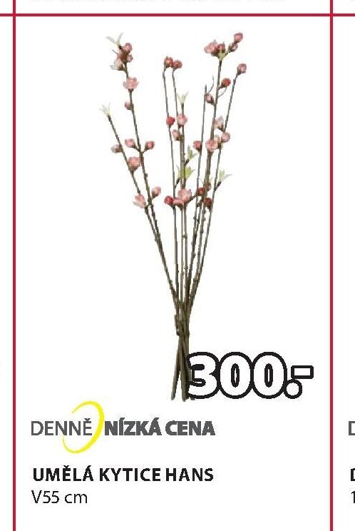 UMĚLÁ KYTICE HANS