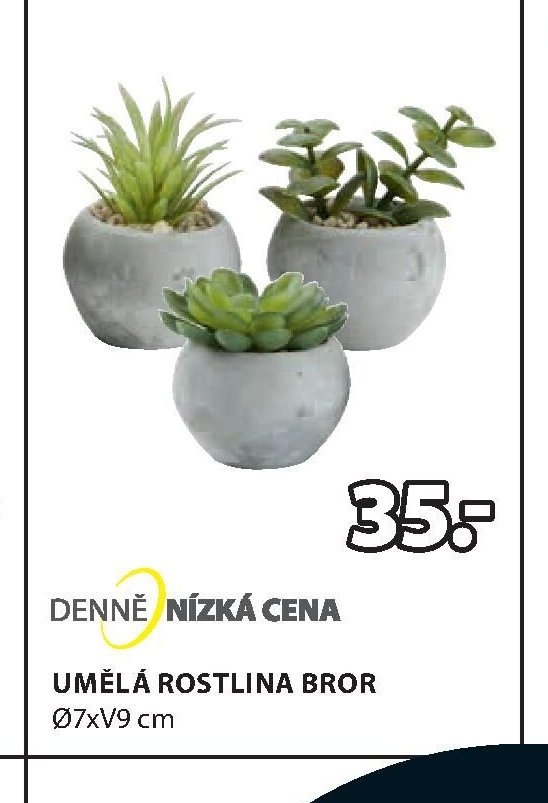 UMĚLÁ ROSTLINA BROR