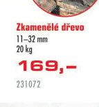 Zkamenělé dřevo