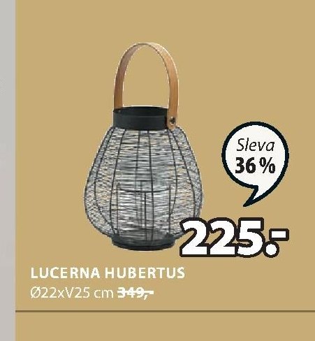 LUCERNA HUBERTUS