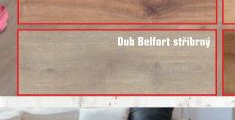 Dub Belfort stříbrný