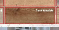 Smrk kanadský