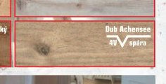 Dub Achensee