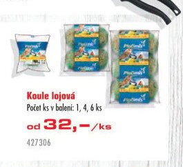 Koule lojová