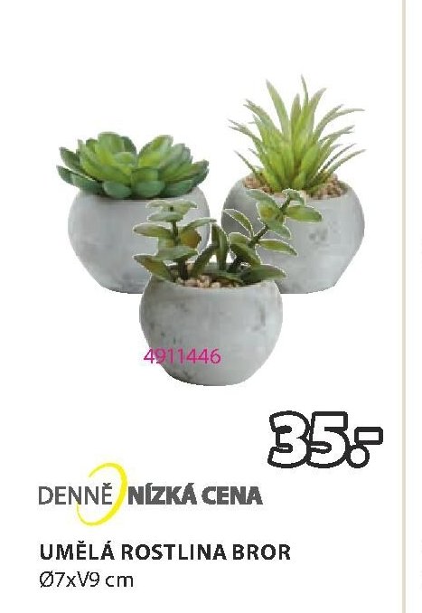 UMĚLÁ ROSTLINA BROR