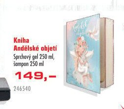 Kniha Andělské objetí