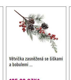 Větvička zasněžená se šiškami a bobulemi ...