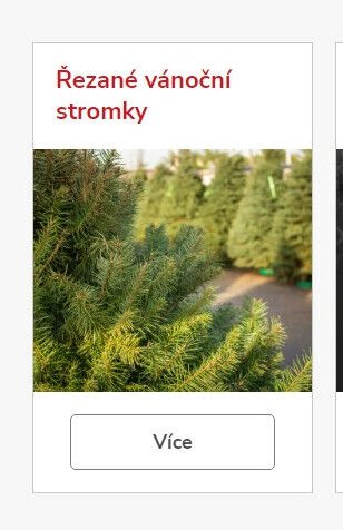 Řezané vánoční stromky