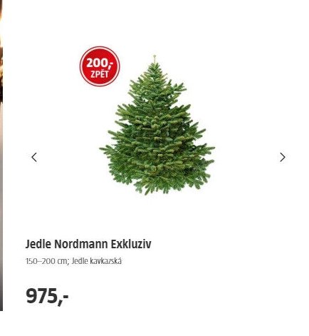 Jedle Nordmann Exkluziv
