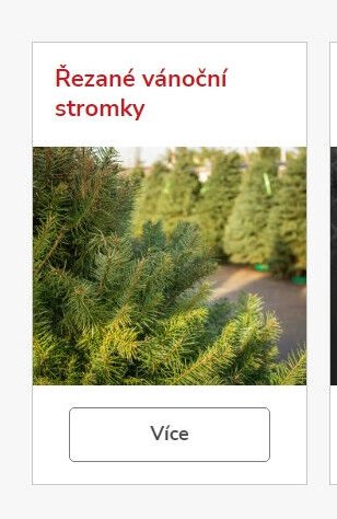 Řezané vánoční stromky