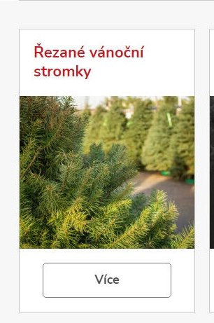 Řezané vánoční stromky