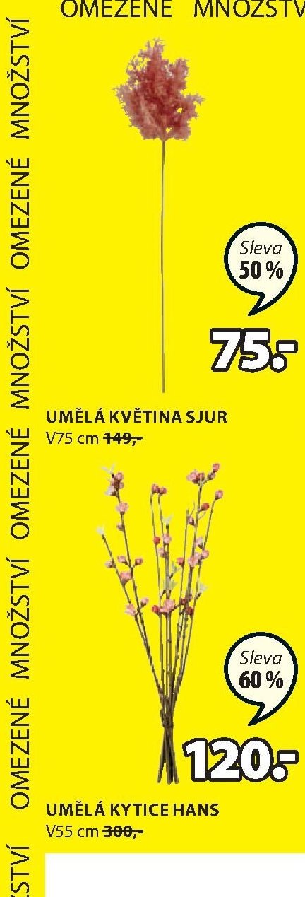 UMĚLÁ KVĚTINA SJUR