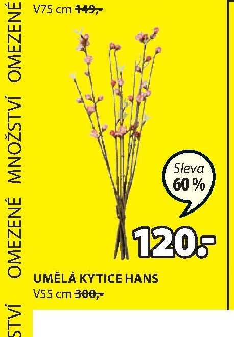 UMĚLÁ KYTICE HANS