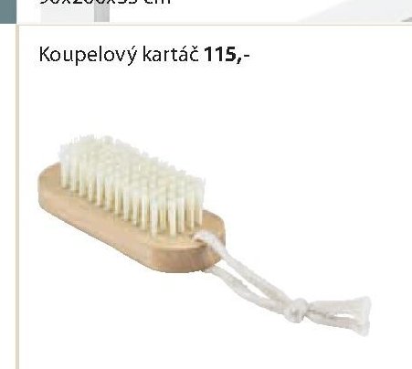 Koupelový kartáč