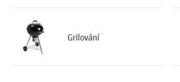 Grilování