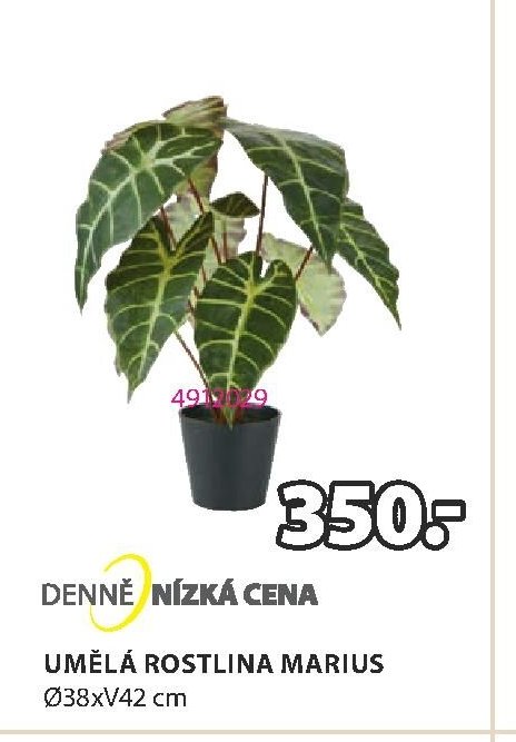 UMĚLÁ ROSTLINA MARIUS