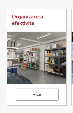 Organizace a efektivita