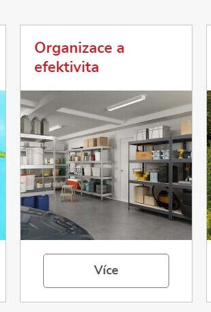 Organizace a efektivita