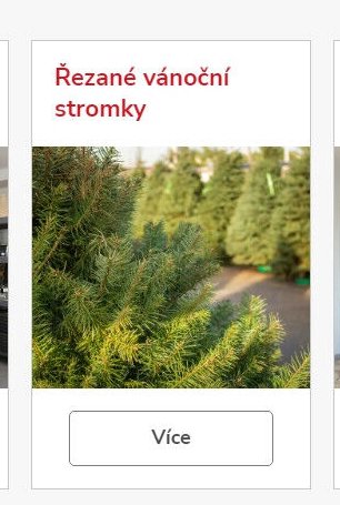 Řezané vánoční stromky