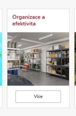 Organizace a efektivita