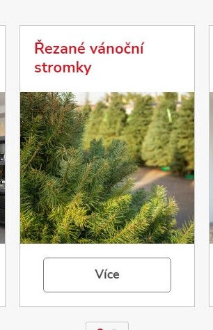 Řezané vánoční stromky