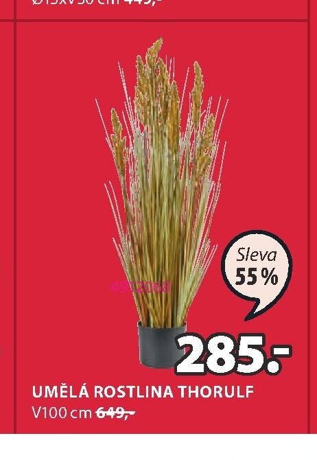 UMĚLÁ ROSTLINA THORULF