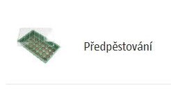 Předpěstování