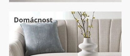 Domácnost