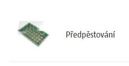 Předpěstování