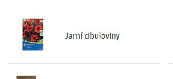Jarní cibuloviny