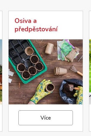 Osiva a předpěstování